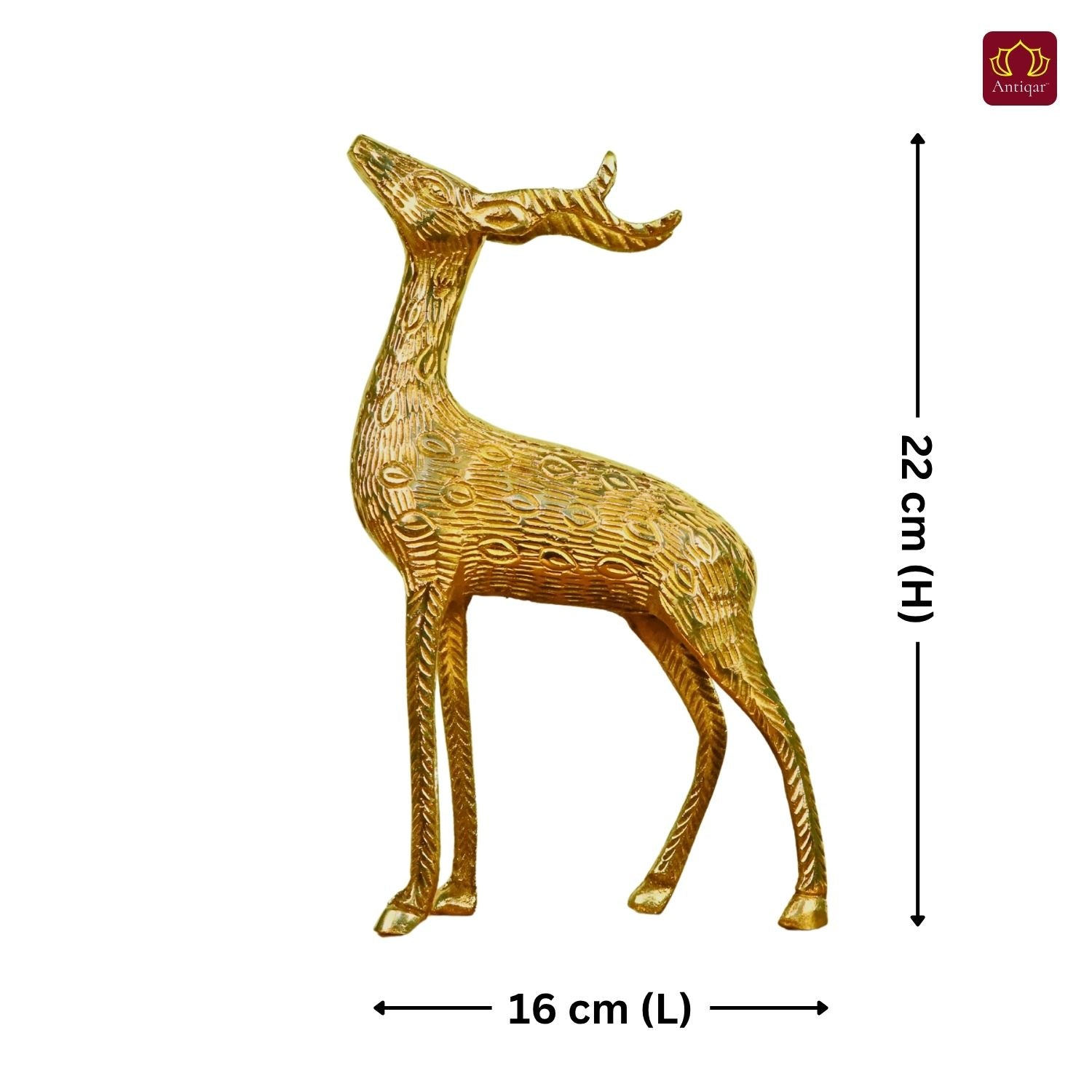 Antiqar Brass Deer Figurine with Antlers | Premium Superfine Finish | Handcrafted Artwork | Home & Office Décor | Ideal for Gifting
