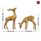 Brass Couple Deer Showpiece -17cm | Premium Superfine Finish | Handcrafted Decor Piece for Living Spaces | Ideal for Gifting